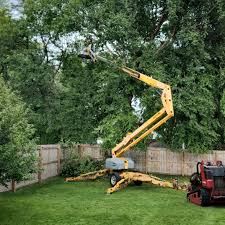 Best Tree Removal  in Adams, WI