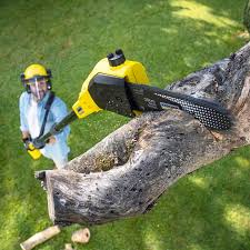 Best Utility Line Clearance  in Adams, WI